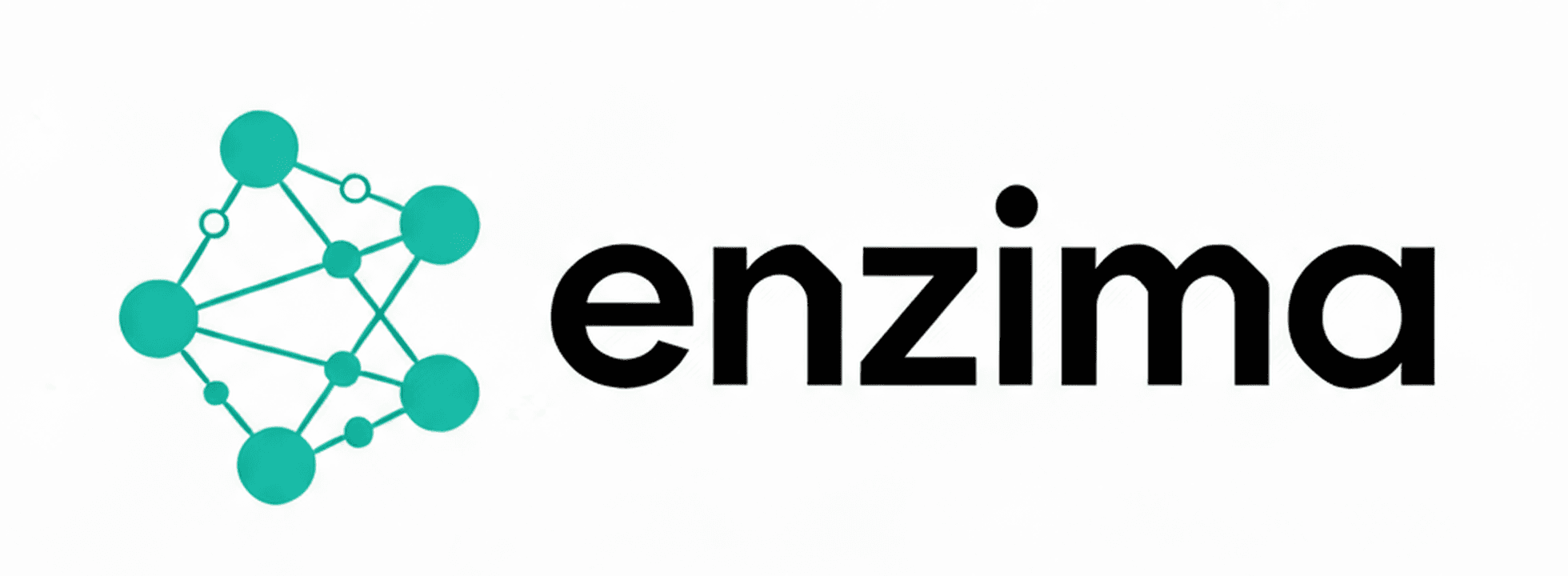 enzima logo